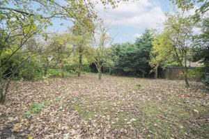 Photo 95- click for photo gallery